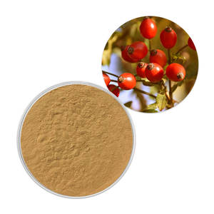 GMP & ISO Certificado Food Grade <span class=keywords><strong>Rose</strong></span> Hip <span class=keywords><strong>Fruit</strong></span> <span class=keywords><strong>Extract</strong></span> Wild Rosehip Pó - Product Image 1