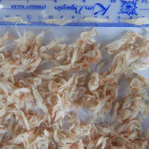 Dried Baby Shrimp makes an amazing food topper for your dogs food which adds essential Lily +84 906927736