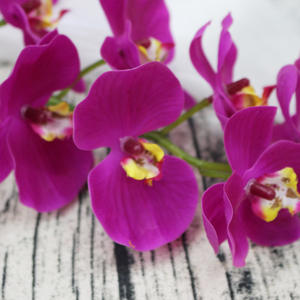 ZY2074 ZUOYI 57CM 2 rami 12 teste in lattice artificiale orchidea fiore con foglia per fiori di nozze - Product Image 5