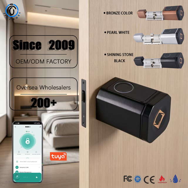 Tuya Ttlock Fingerprint RFID Card Key Door Lock Adjustable WiFi BLE Smart Cylinder Lock for Replacing Old Mechanical for Home