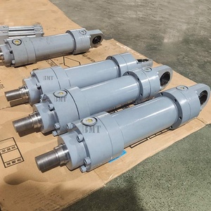 Double Acting for Special Vehicle Price - Product Image 5