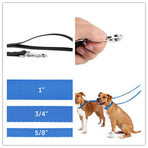 किंगस्टोरी पालतू जानवरों के लिए 6 फीट ठोस टिकाऊ अनुकूलित फैशन नायलॉन कुत्ते कॉलर की आपूर्ति करता है - Product Image 3