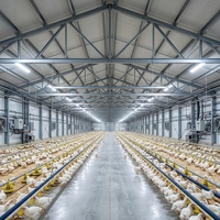 Bâtiment avicole moderne en structure acier préfabriquée Liyou avec certification CE, grande portée, pour ferme avicole