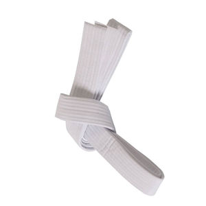 Cinturón de Karate de artes marciales de alta calidad a la venta equipo de Karate/cinturón de Karate personalizado de alta calidad para cinturones de lucha MMA Bjj - Product Image 2