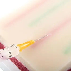 Тренажер для инъекций Venipuncture IV, модель для инъекций с сосудами