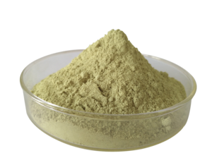 शुद्ध प्राकृतिक प्राकृतिक 10:1/20:1/50:1 अल्फाल्फा निकालने के लिए अल्फाल्फा निकालने के लिए अल्फाल्फा निकालें - Product Image 2