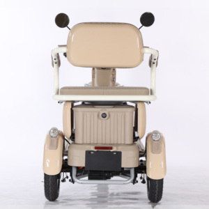 SANMAZI EEC 3 tekerlekli elektrikli üç tekerlekli bisiklet 60V 72V 650W yüksek kalite açık vücut yolcu yetişkinler için uzun pil ömrü düşük fiyat - Product Image 4