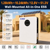 Système de stockage d'énergie solaire domestique tout-en-un, batterie LiFePO4 murale de 10,24 kWh, 51,2 V 200 Ah pour l'alimentation de secours de la maison avec onduleur de 6 kW