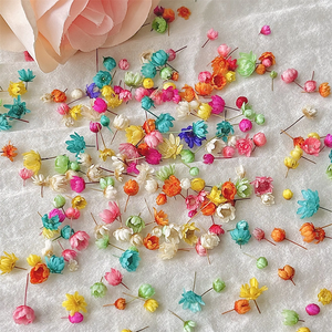 Couleur mélangée Mini Flores vraie fleur séchée naturelle brésil petite fleur étoile pour bricolage artisanat d'art - Product Image 2