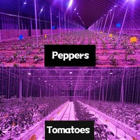 50W LED-kweeklamp met volledig spectrum voor binnen- en buitenplanten, tomaten, druiven, drakenvruchten, watermeloenen, rozen