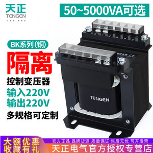 Tengen Isolation <b>Transformer</b> 100VA 220V Input Output For Electrical Equipment Protection - Product Image 5