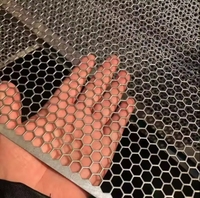 Filtre en maille hexagonale perforée en plastique revêtu de PVC personnalisé