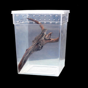 Boîte et enclos pour <span class=keywords><strong>reptiles</strong></span> en plastique respirant 20x20x25cm Écologique et durable pour les <span class=keywords><strong>reptiles</strong></span> - Product Image 4
