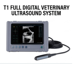 Échographe vétérinaire portable pour le diagnostic <span class=keywords><strong>de</strong></span> gestation chez les bovins, les chevaux, les moutons, les porcs, les chiens et les chats - Product Image 2