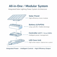 Lampadaire Solaire Extérieur DC Haute Luminosité IP65 Étanche 100W Tout-en-un avec Batterie LiFePO4 6500-7500K pour Jardin et Aménagement Paysager