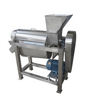 Industriële commerciële fruitpersmachine van roestvrij staal 304 met hoge productiviteit, koude persing