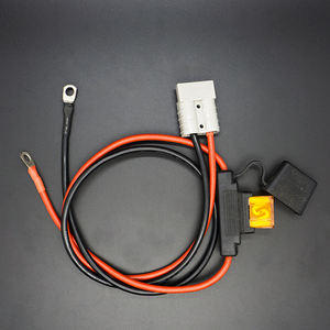 ชุดสายไฟสำหรับรถยนต์และรถจักรยานยนต์ แบบกำหนดเองจากโรงงาน คุณภาพสูง ขั้วต่อ 2 ขา พร้อมบล็อกฟิวส์และขั้วต่อแบบท่อ - Product Image 3