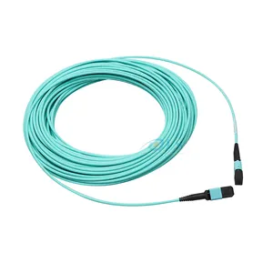 ราคาโรงงาน MPO (F) ถึง MPO (F) OM3 OM4 12f LSZH 3.0M สายไฟเบอร์ออปติก MPO Trunk Cable