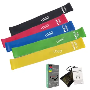 Resistance Loop Exercise Bands - Set of 5 Stretch Bands for Working Out with Instruction Guide & Carry Bag - Elastic Band for Ho