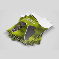 Services d'impression de brochures, de catalogues, de dépliants et de flyers personnalisés de haute qualité en gros avec logo personnalisé