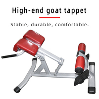 Chaise romaine d'extension de dos d'équipement commercial de gymnastique pour l'entraînement de force abdominale de banc d'hyperextension de musculation