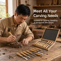 Ensemble professionnel de 12 outils de sculpture sur bois en acier CR-V, ciseaux, poinçons, manche en bois de hêtre pour le travail du bois, bricolage et artisanat