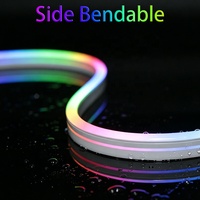 Bande LED flexible en silicone néon avec protocole WS2812, décorative et personnalisable, 5V basse tension USB, IP68, pliable pour intérieur/extérieur