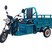 Triciclo Eléctrico de Litio de 800W para Transporte de Mercancías, Modelo EEC con Certificado COC