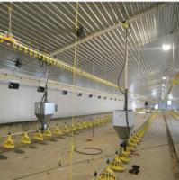 Poulailler préfabriqué 9x30m - 2.8m de hauteur, équipement de base, 5,000 oiseaux, installation rapide