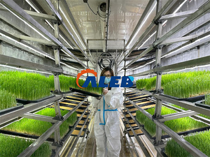 Automatic Vertical Farming Container Hydroponic Aeroponic Plant Grow <strong>System</strong> with Motor Factory-Supply for <strong>Efficient</strong> Growing - Product Image 3