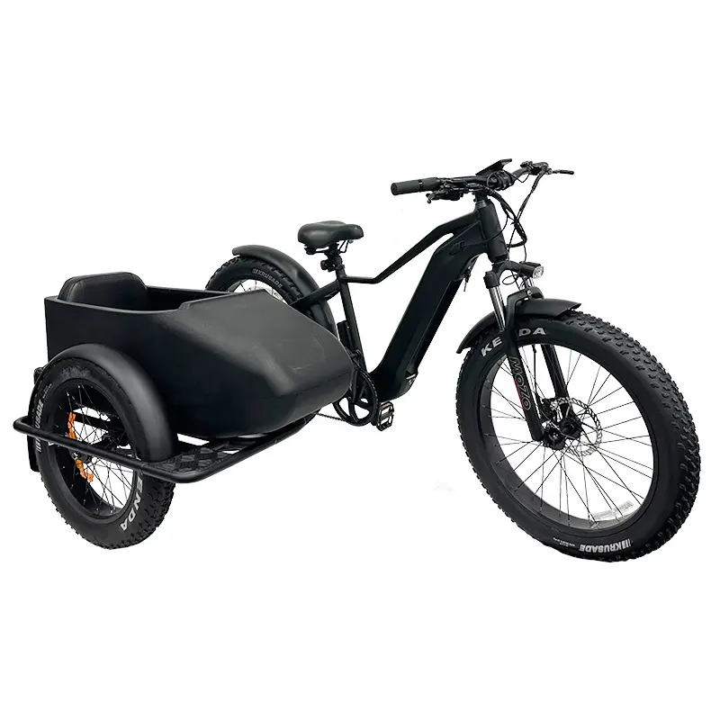 2023 venda quente personalizado 3 roda pneu gordo bicicleta elétrica com sidecar para adultos