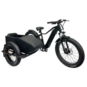 2023 hot selling customized 3 wheel fat tire electric bicycle with sidecar for adults