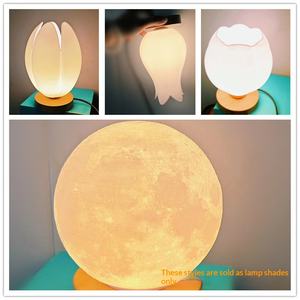 Lampada Luna 3D Stampata in Stile Europeo, Alimentata USB, Controllo Touch, Luce Notturna Dimmerabile, Regalo per San Valentino e Festival Qixi - Product Image 3