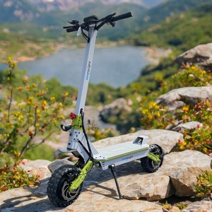 Scooter Eléctrico Todoterreno M9 de 11 Pulgadas, 60V 6000W 30Ah, Alta Velocidad, Disponible en Almacén en California, EE. UU., con Servicio de Recogida - Product Image 1