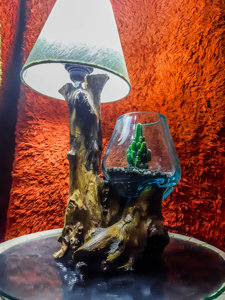 Eco-friendly <span class=keywords><strong>Driftwood</strong></span> Terrário De Vidro Fundido Aquário Preservado Pólo Musgo Para Terrários Jardinagem Arte Home Decor - Product Image 6