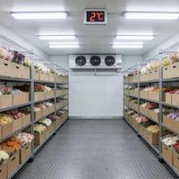 Cámara Frigorífica de Gran Capacidad para Floristería, Cuarto Frío para Almacenamiento de Flores