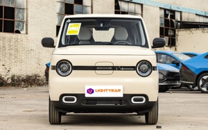 Di alta qualità nuovo EV Geely <span class=keywords><strong>Panda</strong></span> Mini Bear vitalità 210 Km di vitalità <span class=keywords><strong>serie</strong></span> Mini Car - Product Image 6