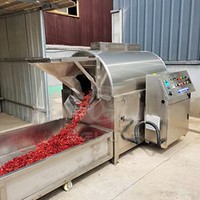 Machine à torréfier les cacahuètes, les graines de soja et les châtaignes à induction électrique et à gaz pour usine de snacks