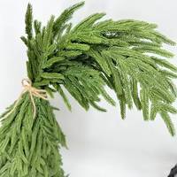 Daun Pohon Norfolk Pine yang Laris Manis untuk Dekorasi Rumah dan Taman di Natal