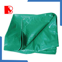 Bâche en vinyle robuste de couleur verte, bâche en PVC imperméable, couverture pour auvent, couverture de camion
