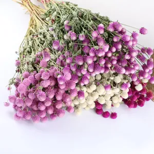 Ramo de Flores Secas Naturales al Por Mayor, Gomphrena, Plantas Secas, Flores Preservadas - Product Image 5