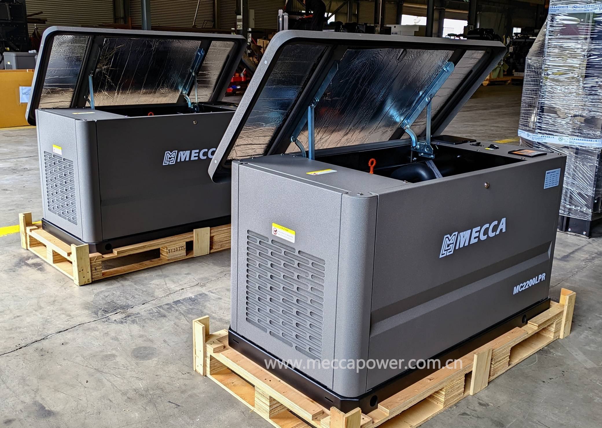 generator champion dual fuel inventor