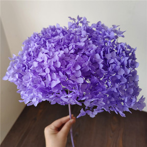 Flores Naturales <span class=keywords><strong>Preservadas</strong></span> y Secas de Alta Calidad a Precios Bajos, Hortensia Anna para Decoración de Bodas, Decoración del Hogar, Arreglos Florales - Product Image 5