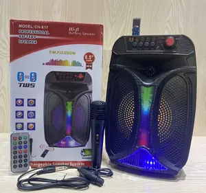 OEM Speaker Disko Profesional, Speaker Bluetooth Kecil Dj Pesta Karaoke Hi Fi Profesional Audio dengan Lampu Disko