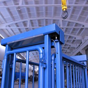 Elektronische Vieh waage für Schafe und Ziegen 500g Genauigkeit OEM & ODM unterstützt - Product Image 5