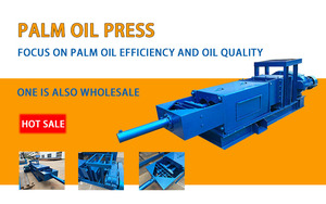 <span class=keywords><strong>Pressa</strong></span> per Olio a Vite Calda da 2t/h, Impianto di Pressatura Olio di Palma a Doppia Vite per Congo e Liberia - Product Image 2