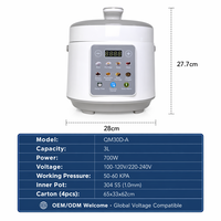 Mini autocuiseur électrique 3L 700W, multicuiseur 10-en-1, cuiseur à induction en acier inoxydable 304, cuiseur à riz compact CE