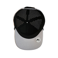 HS54 7 Panneau Homme Laser Cut Trou Papa Snapback Corde Casquette Trucker Chapeau Blanc Hommes Logo Personnalisé Baseball Golf Chapeau Avec Tee Holder