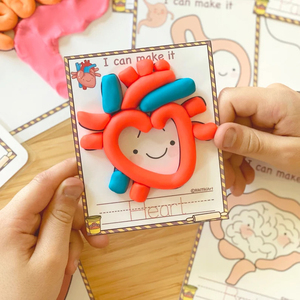 2026 Alfombrillas de Plastilina Súper Suaves y No Tóxicas con Temática de Órganos Humanos para Manualidades, Juguete para Niñas y Niños - Product Image 4