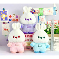 Jouets en peluche personnalisés sur mesure, en tissu doux et léger, design corporel souple, 25 cm, pour événement de grand ouverture